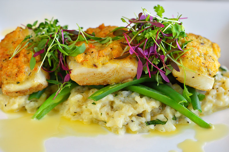 Halibut on Risotto